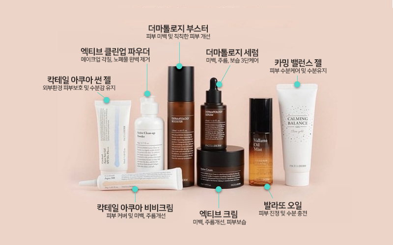 명동 인셀덤 이미지