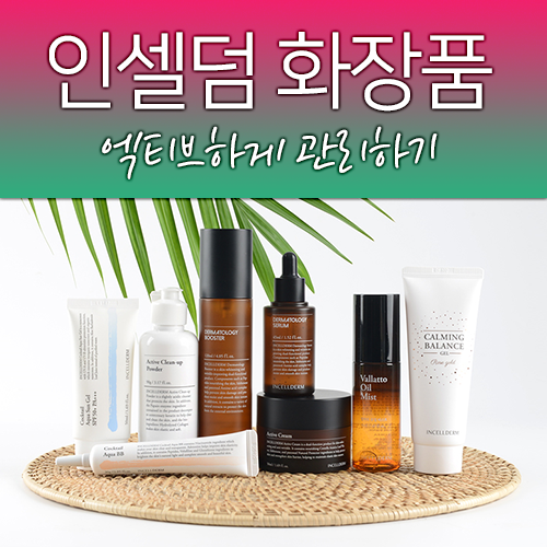 명동 인셀덤 이미지