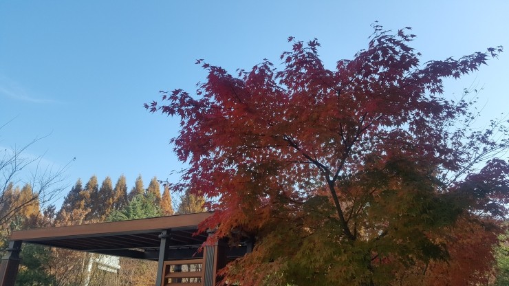 피자에땅본리점 이미지