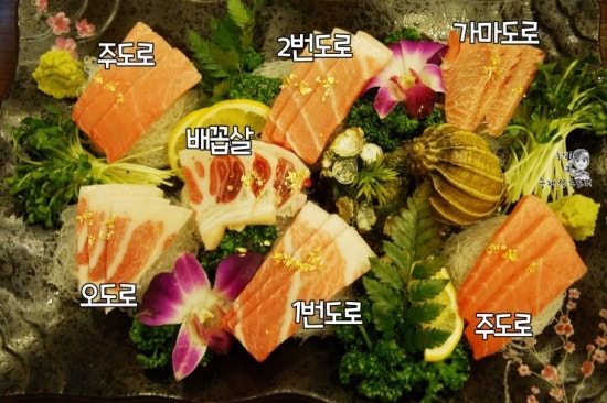 초이참치 이미지