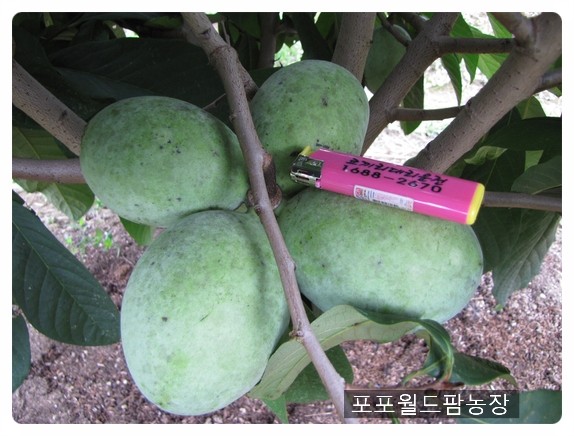수형유통 이미지