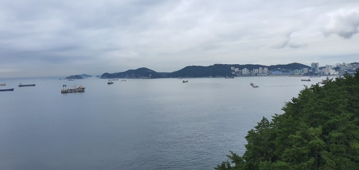 삼진여행 이미지