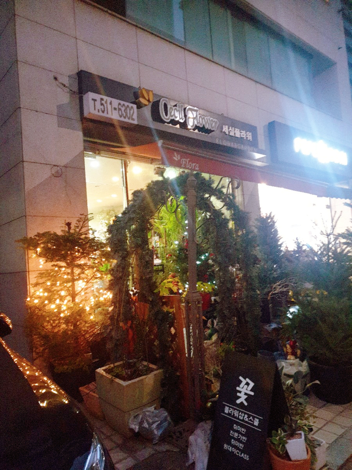 세실플라워 이미지