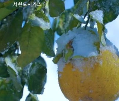 대림미터기 이미지
