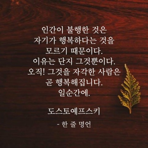 토예 이미지