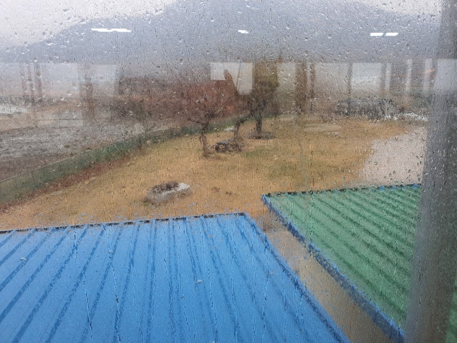 풍천장어가 이미지
