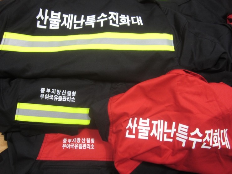 부여나염 이미지