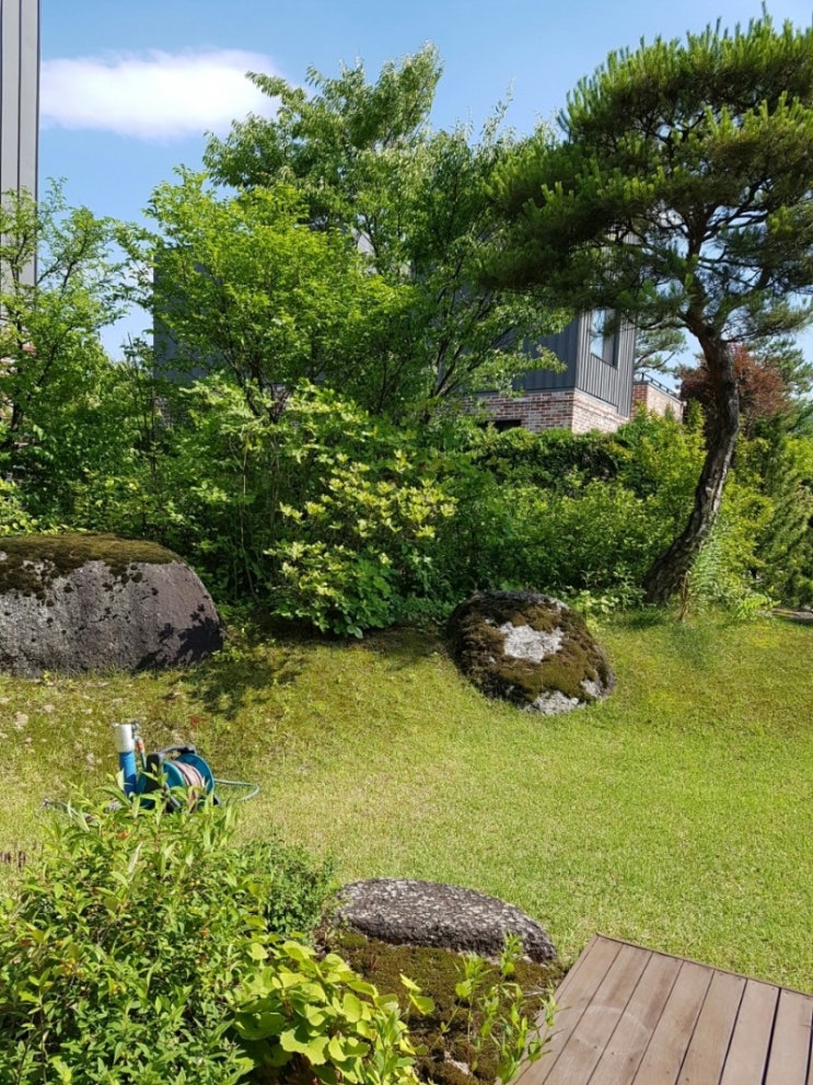 마당조경 이미지