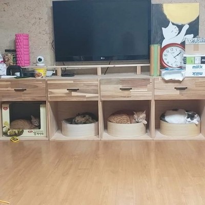 제주청정돼지 이미지