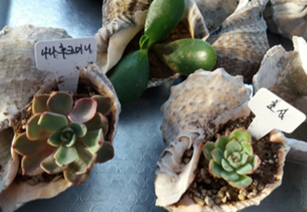 강선달 이미지