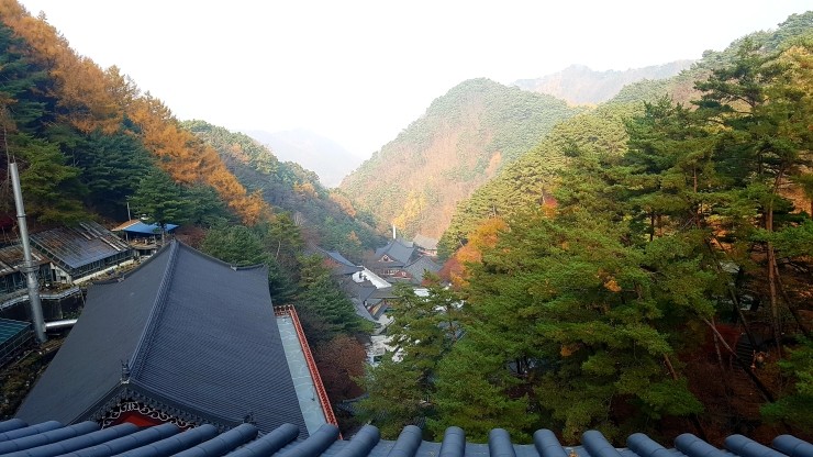 (주)메디푸드글로벌 이미지