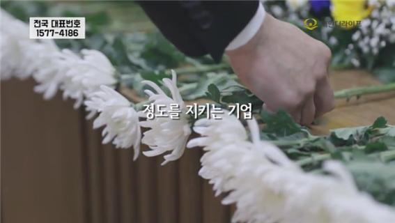 대한더라이프 이미지