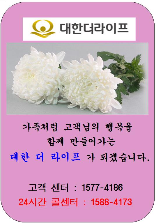 대한더라이프 이미지