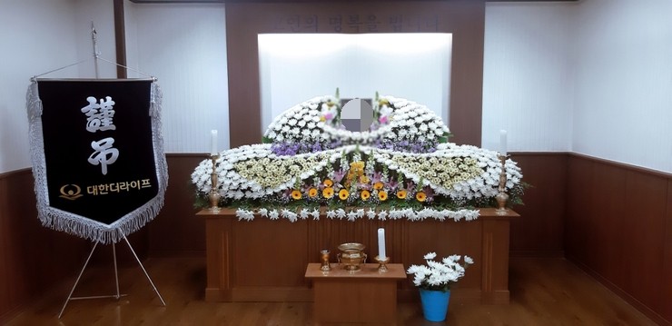 대한더라이프 이미지