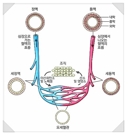 신체발란스운동연구소 이미지
