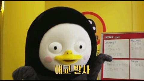 벨르마카롱 이미지