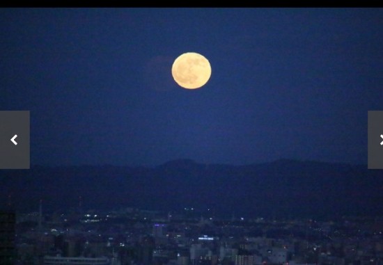 레이화 이미지