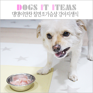 댕댕이 만찬 이미지