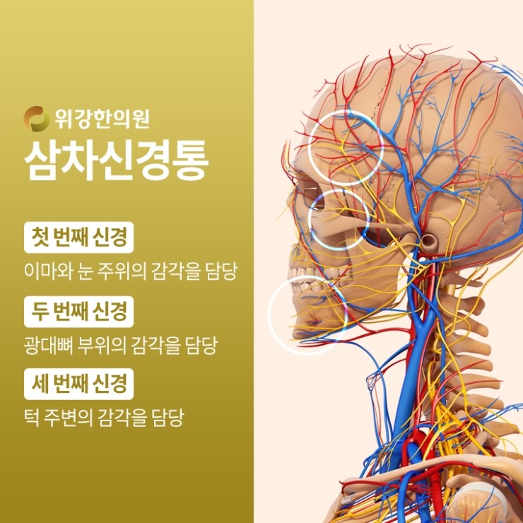 강한내과의원 이미지