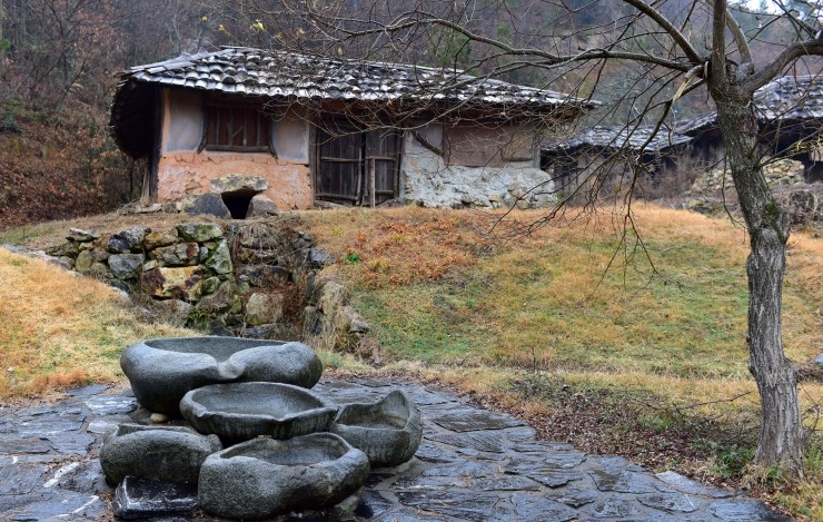 전남산림문화연구소 이미지