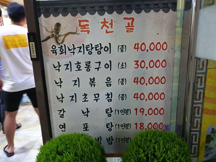 낙지아줌마 이미지