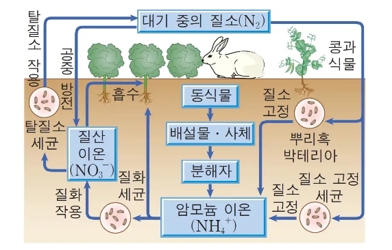 질산성 질소(Nitrate Nitrogen, NO3-N) 란? : 네이버 블로그