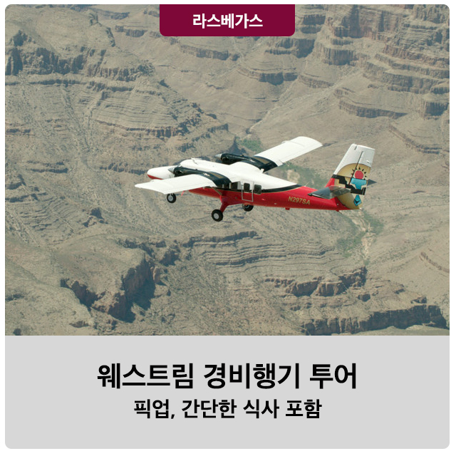 엘티이투어 이미지