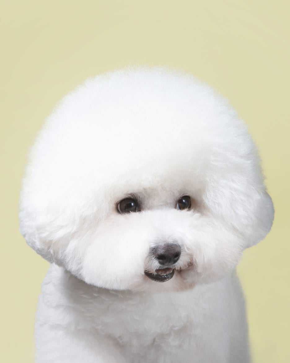 별사진관 이미지