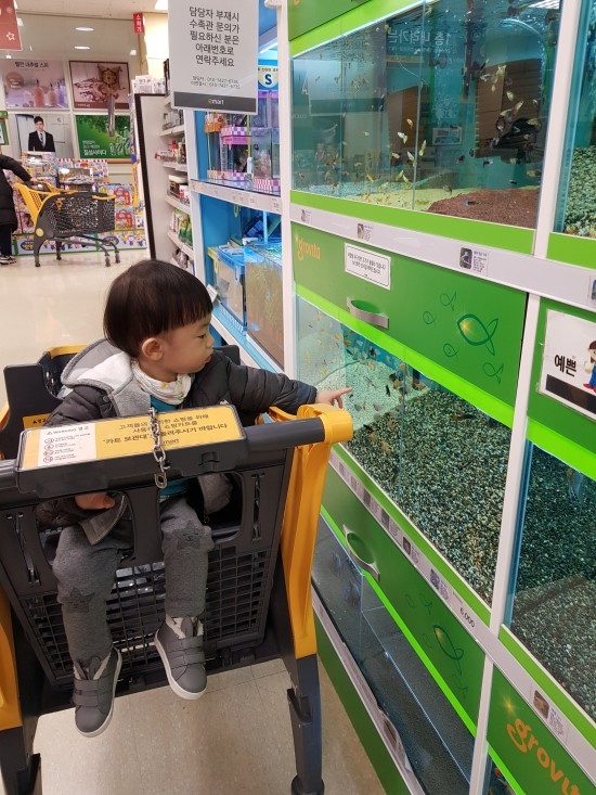 늘예쁜사진관 이미지