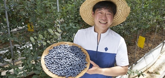 영글어농장 이미지