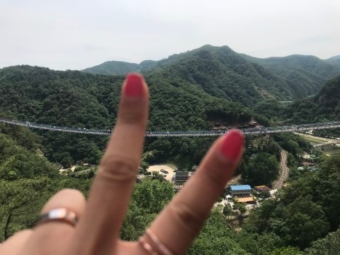 브이원주 이미지