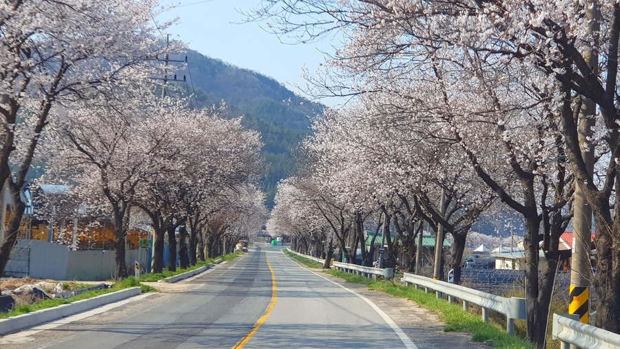 주식회사 결엔터테인먼트 이미지