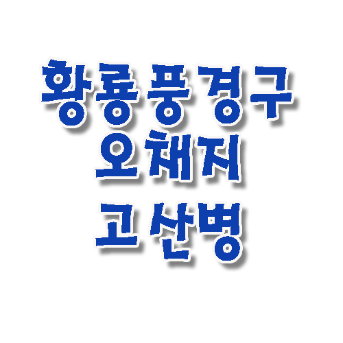 선경관광여행사 이미지