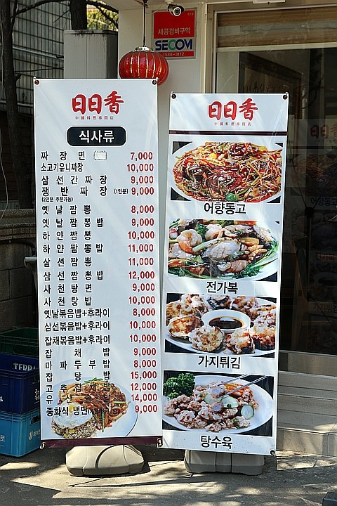 일일향 이미지