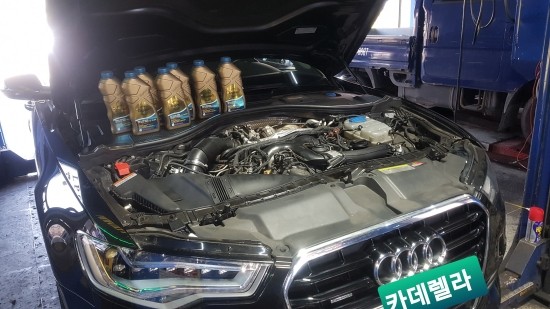 카데렐라 이미지