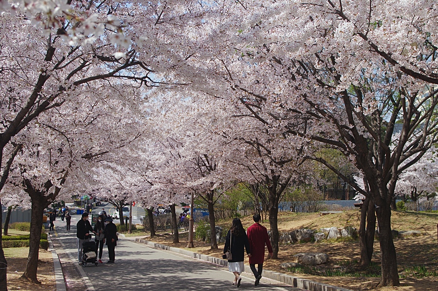 와우산배수지 이미지