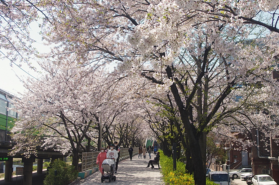 와우산배수지 이미지
