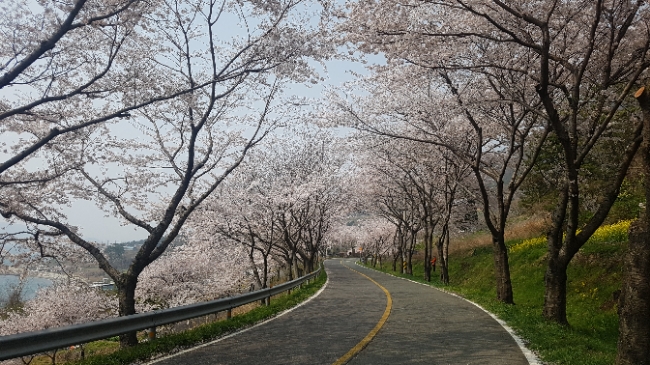 옻채아트 이미지