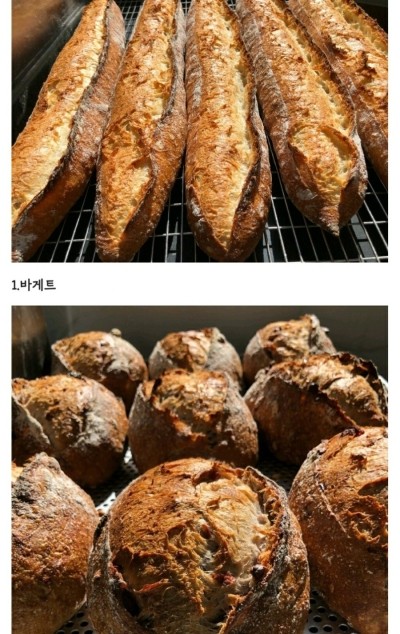 그랑께롱 이미지