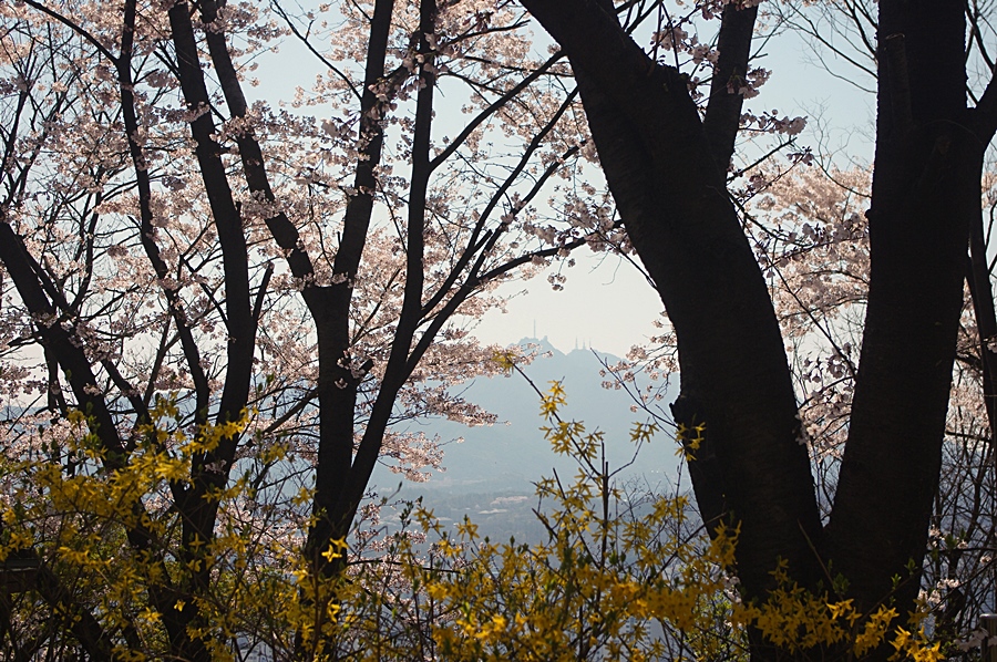 와우산배수지 이미지