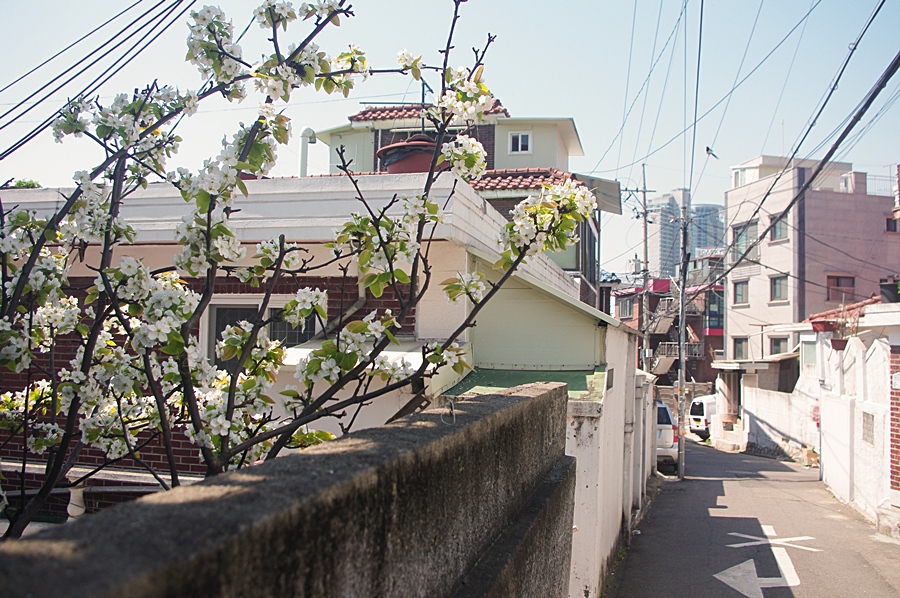 와우산배수지 이미지