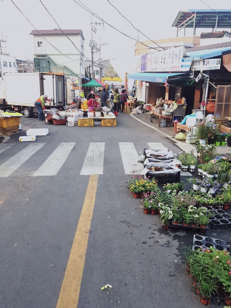 싱싱과일수산물 이미지