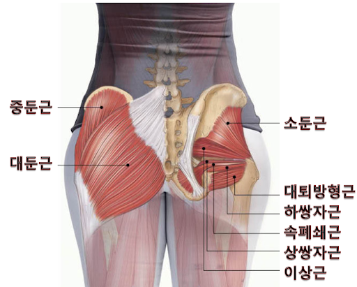 머슬96짐 이미지