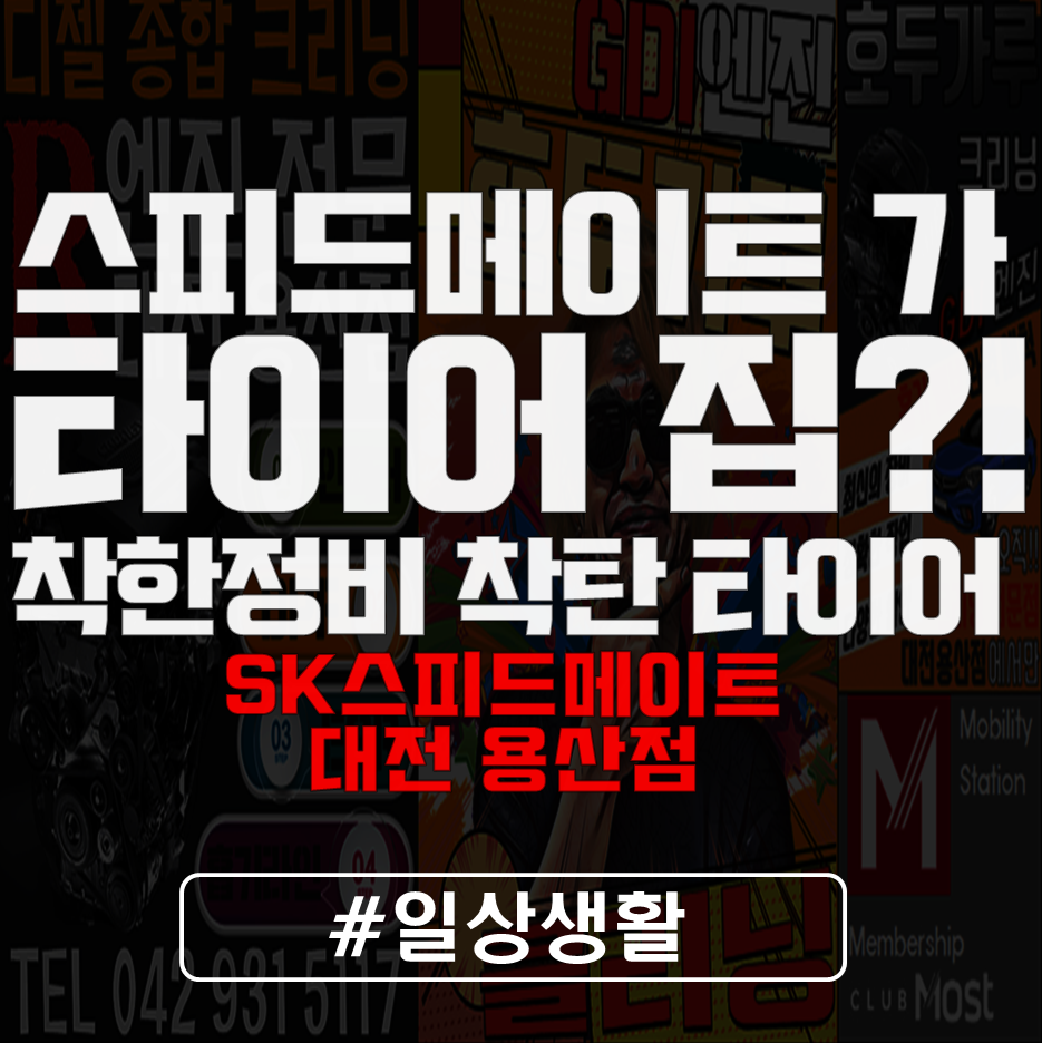 스피드메이트대전 이미지