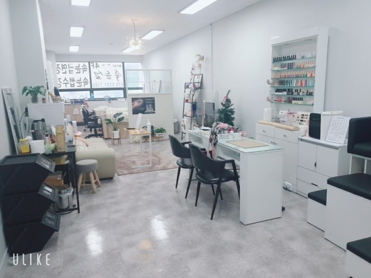 바니속눈썹 이미지