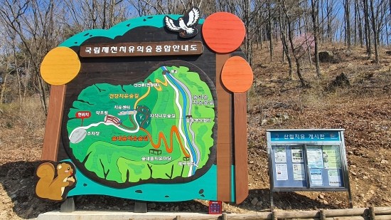 제천 치유의 숲 이미지