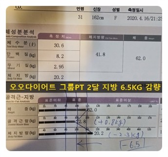 오오다이어트 이미지