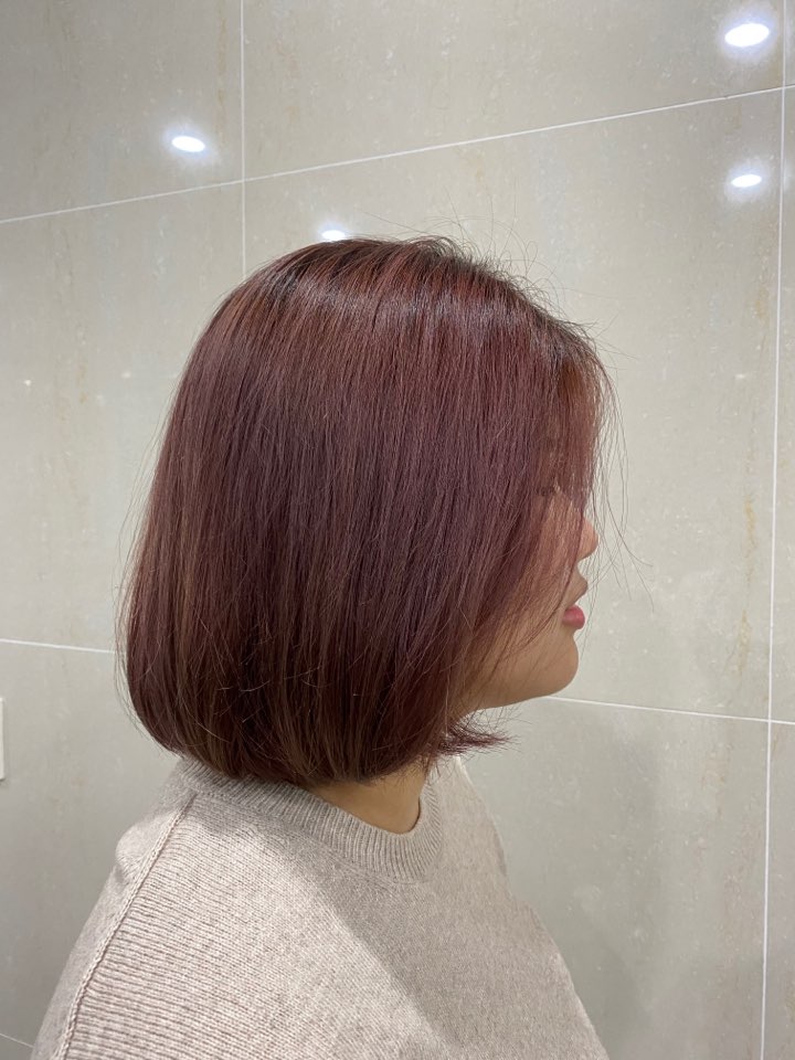 보스헤어 이미지