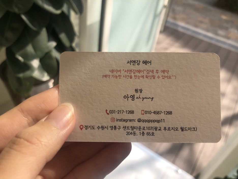 강샬롱 이미지