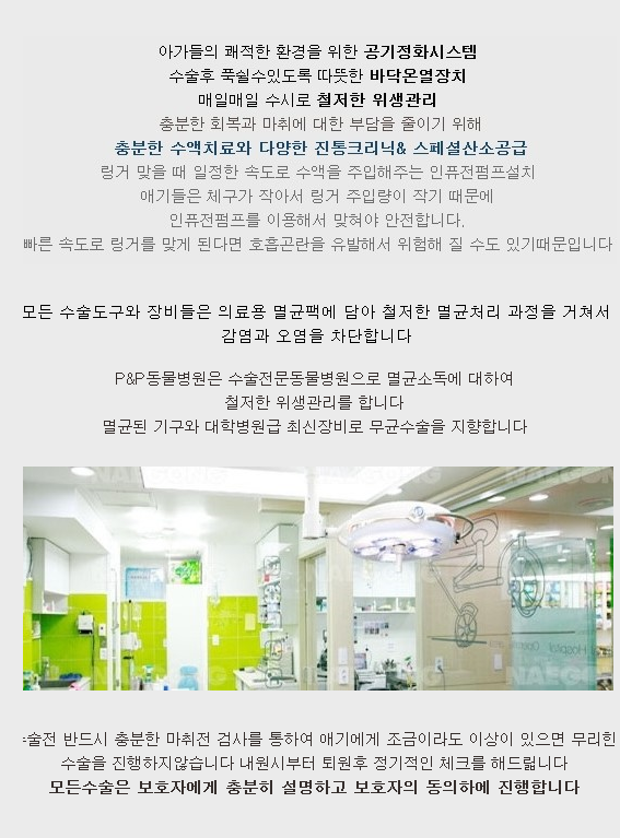 피엔피PC 이미지